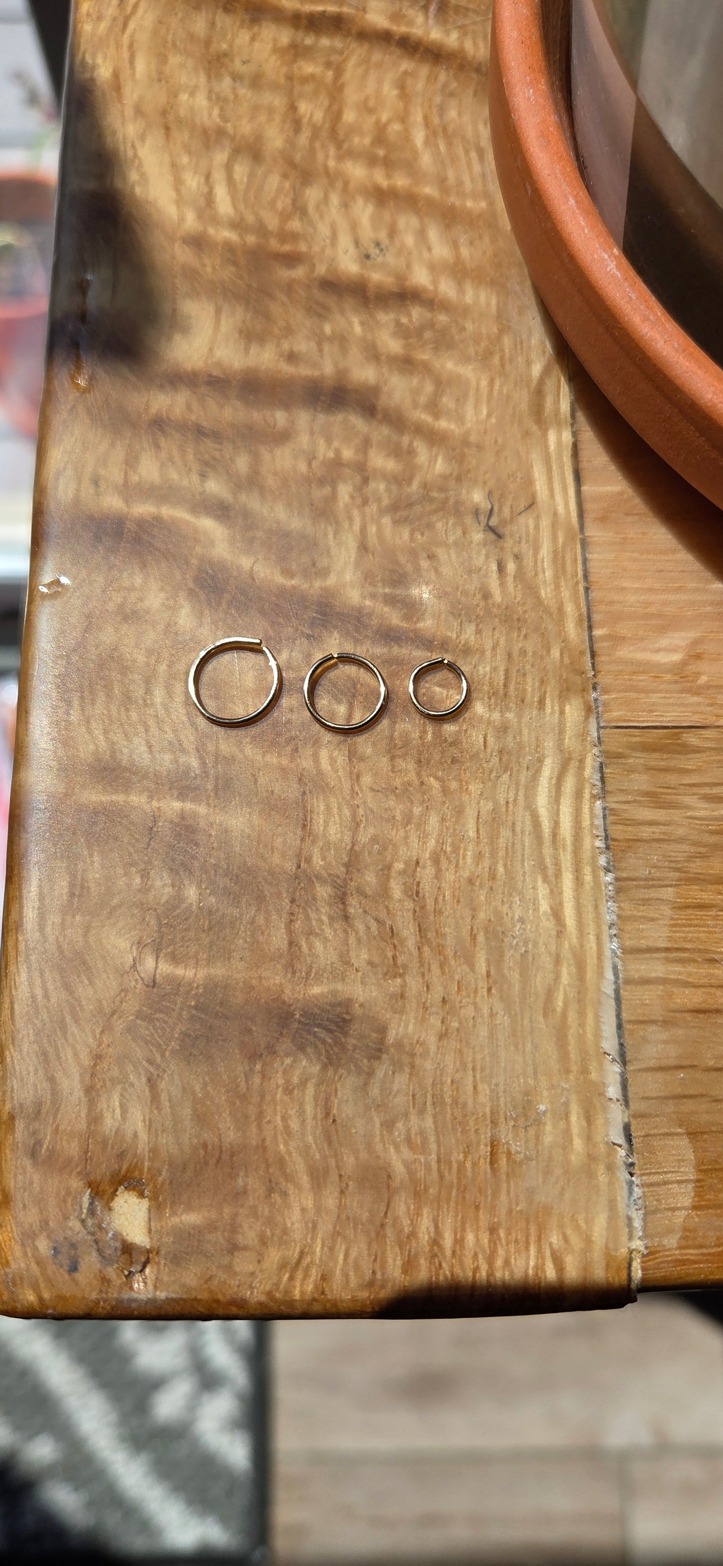 Gold-Filled Live- In Hoops