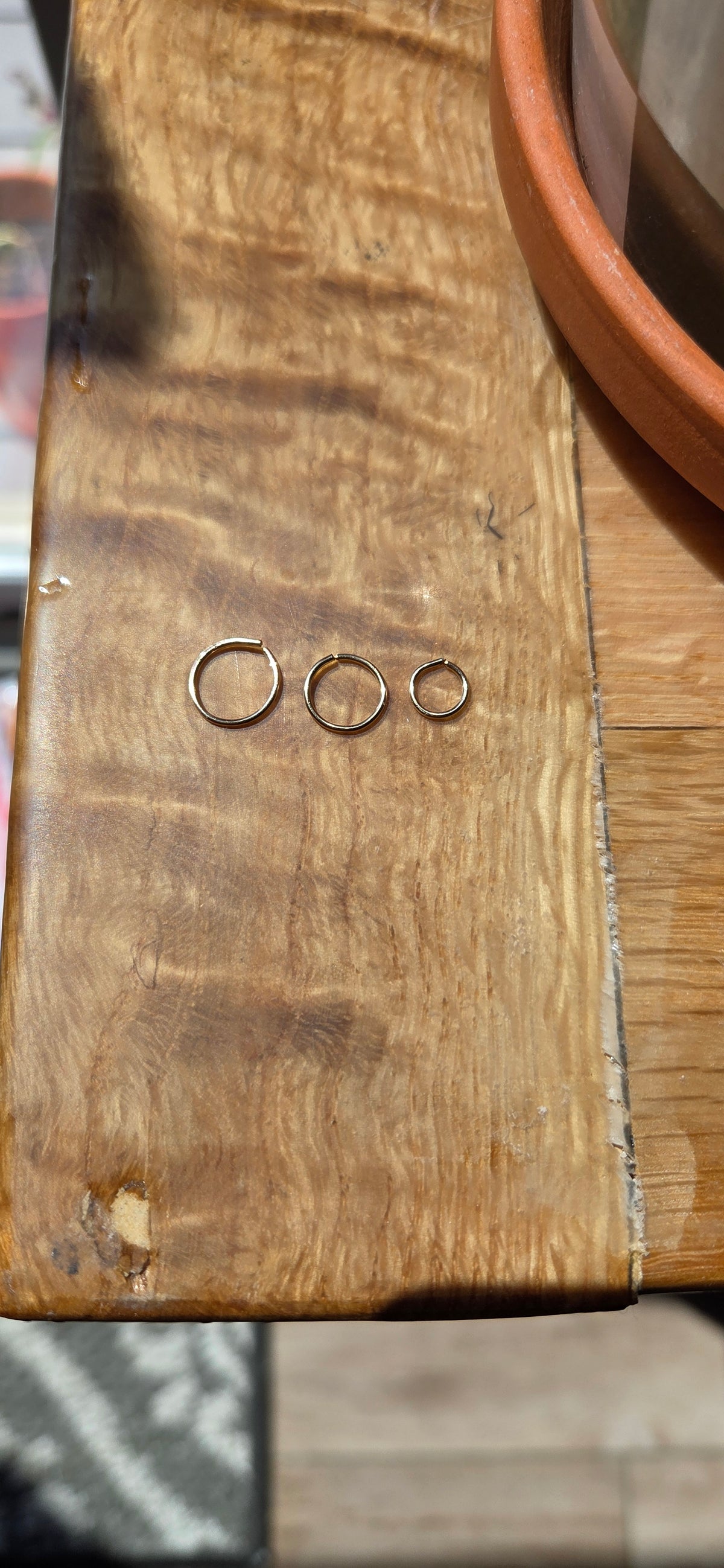 Gold-Filled Live- In Hoops