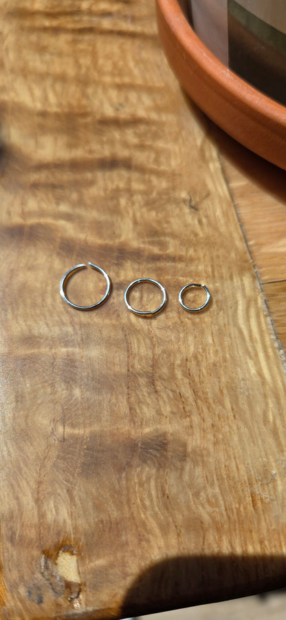 Silver Live- In Hoops